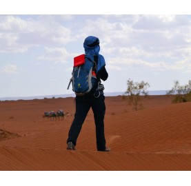 WildSeat tapis tout terrain rando desert