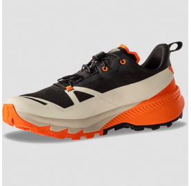 Nouvelle chaussure imperméable Traverse 2 gore-tex de Dynafit pour homme
