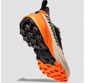 Nouvelle chaussure imperméable Traverse 2 gore-tex de Dynafit pour homme