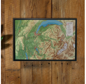 Carte en relief 3DMAP représentant le département de Haute Savoie