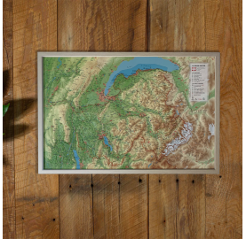 Carte en relief 3DMAP représentant le département de Haute Savoie