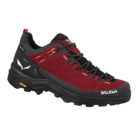 Chaussure basse de randonnée en cuir et Gore-Tex pour Femme